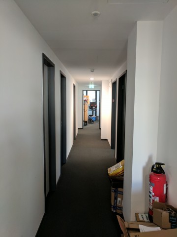Ein mit dem Pixel XL aufgenommenes Foto (Bild: Tobias Költzsch/Golem.de)